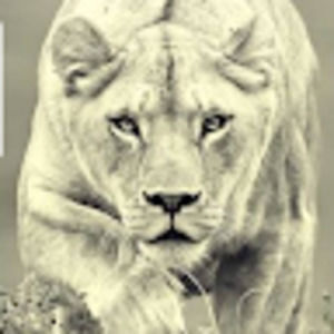 Meet your Posher, Rena